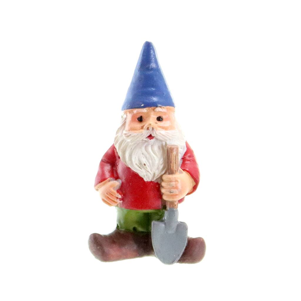 10566448.jpg img